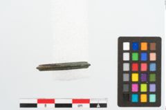Foto von Bronzering (NHMW-PRAE-026638)